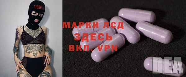 стафф Аркадак