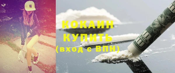 стафф Аркадак