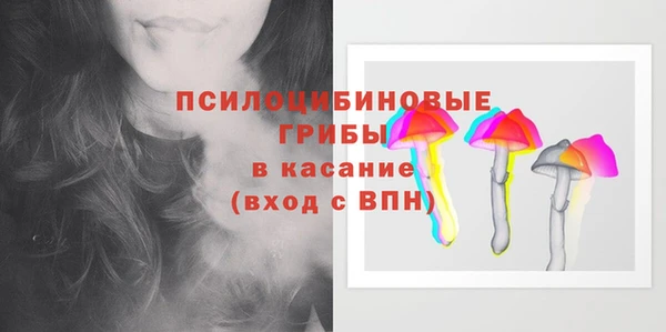 apvp Арсеньев