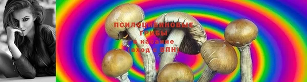 apvp Арсеньев