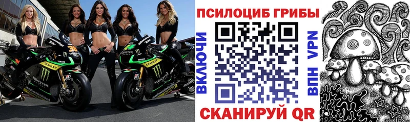 darknet Telegram  Похвистнево  Псилоцибиновые грибы Psilocybine cubensis 